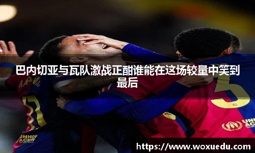 28圈官方网站