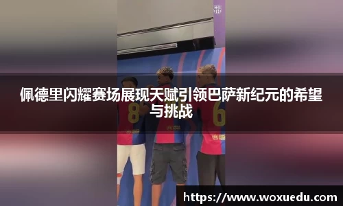 28圈官方网站