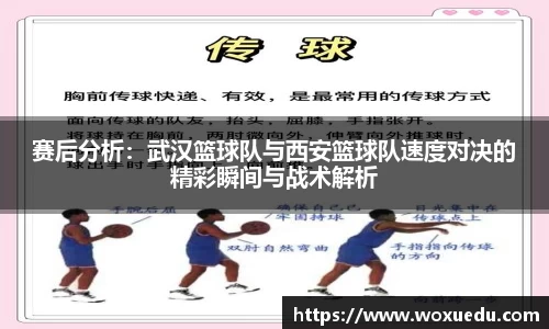 28圈官方网站